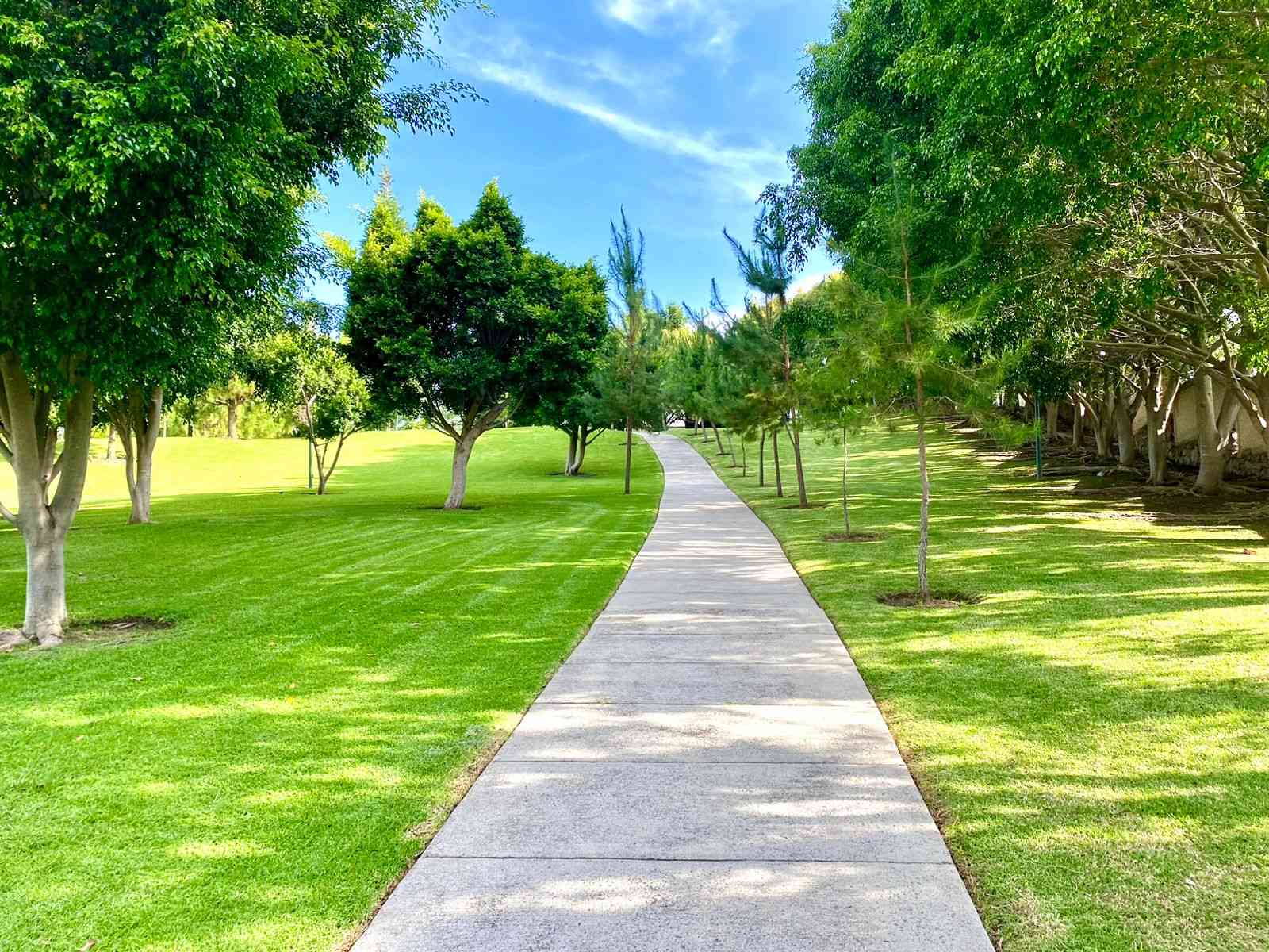 Bosque Real-Tlajomulco-I-6-16