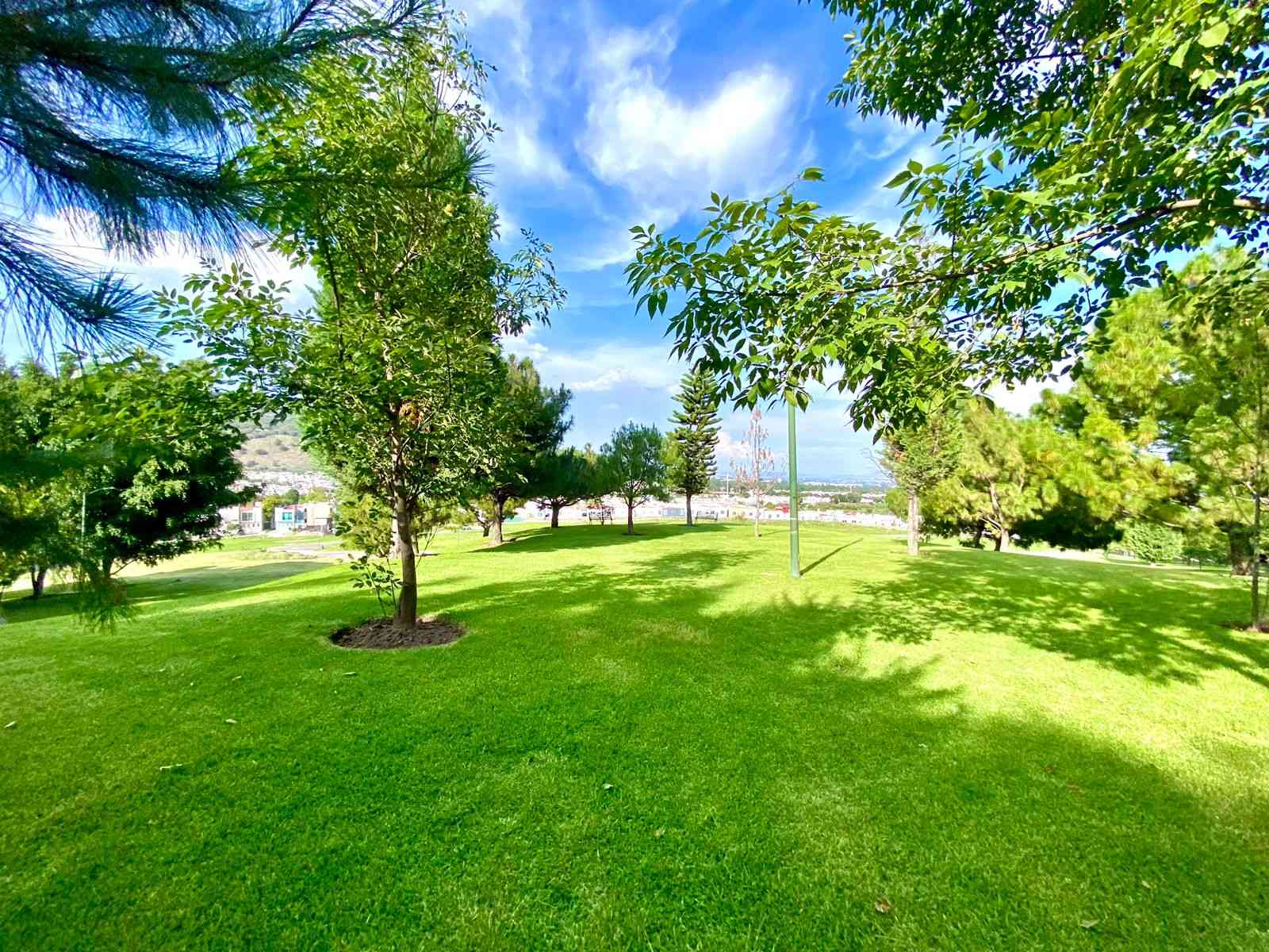 Bosque Real-Tlajomulco-I-6-18