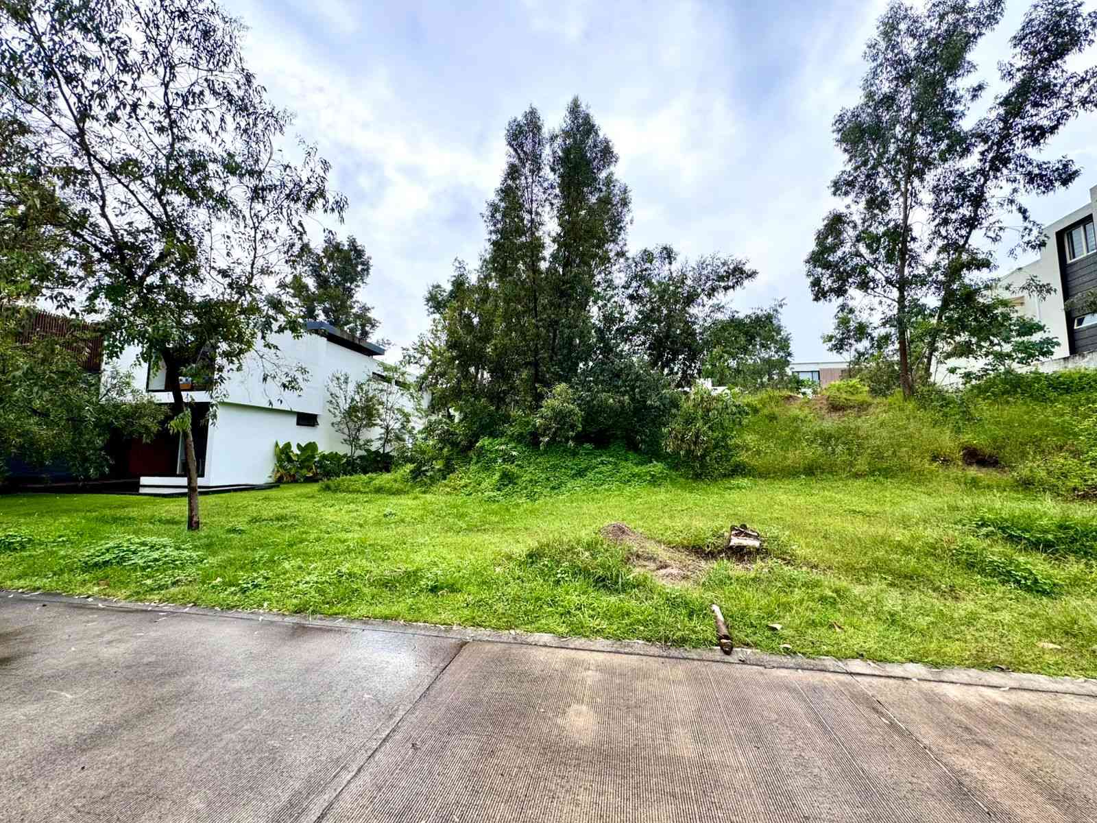 Bosque del Romeral-Zapopan-05