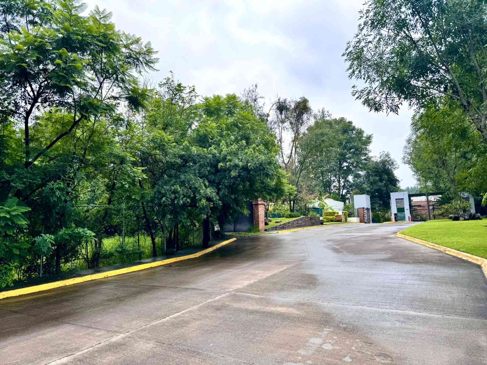 Bosque del Romeral-Zapopan-16