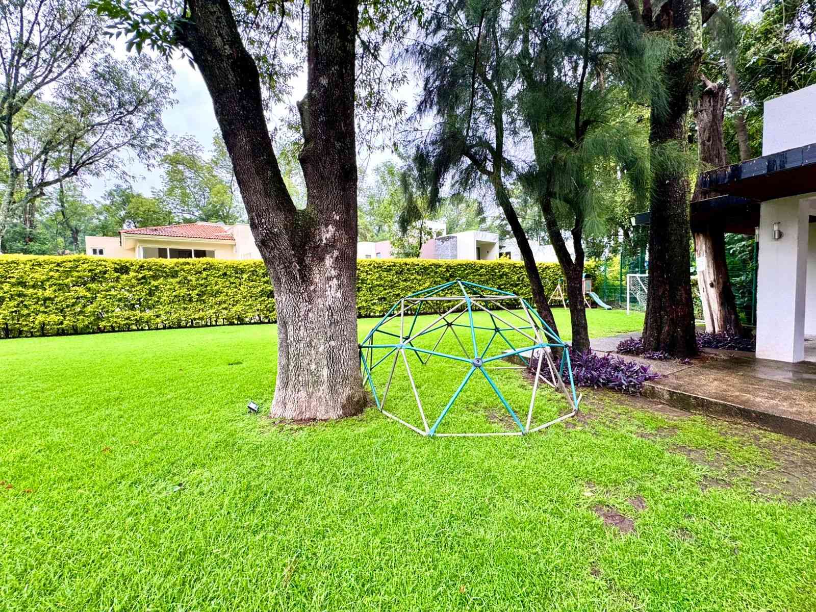 Bosque del Romeral-Zapopan-19