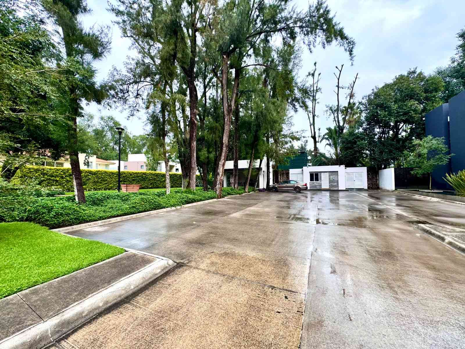 Bosque del Romeral-Zapopan-21