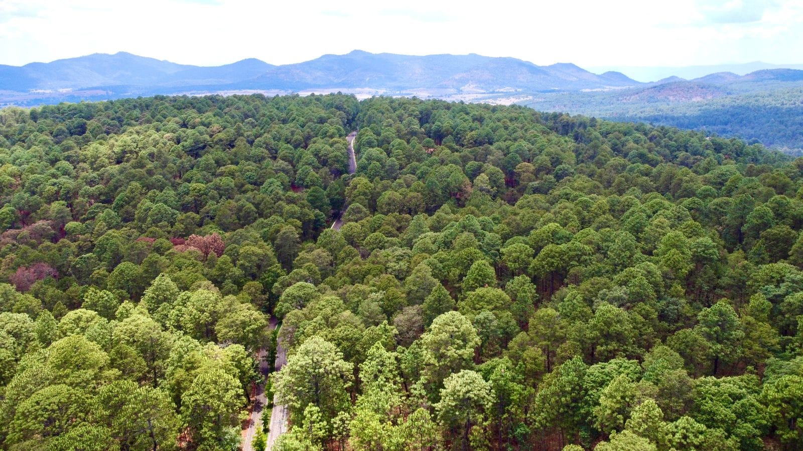 Bosque escondido-tapalpa-02