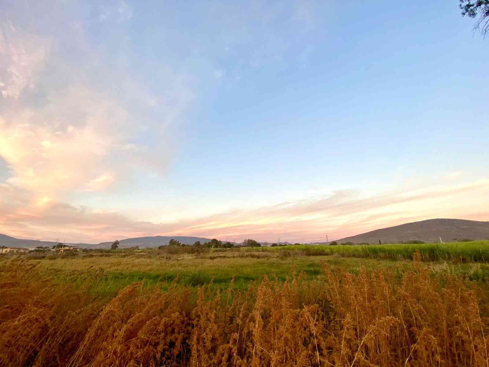 Vista de terreno en venta en cruz vieja tlajomulco