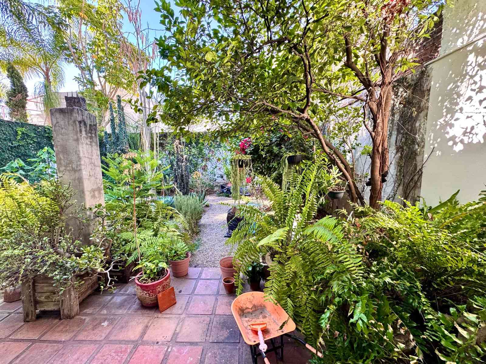 jardín de casa en venta en el palomar zapopan