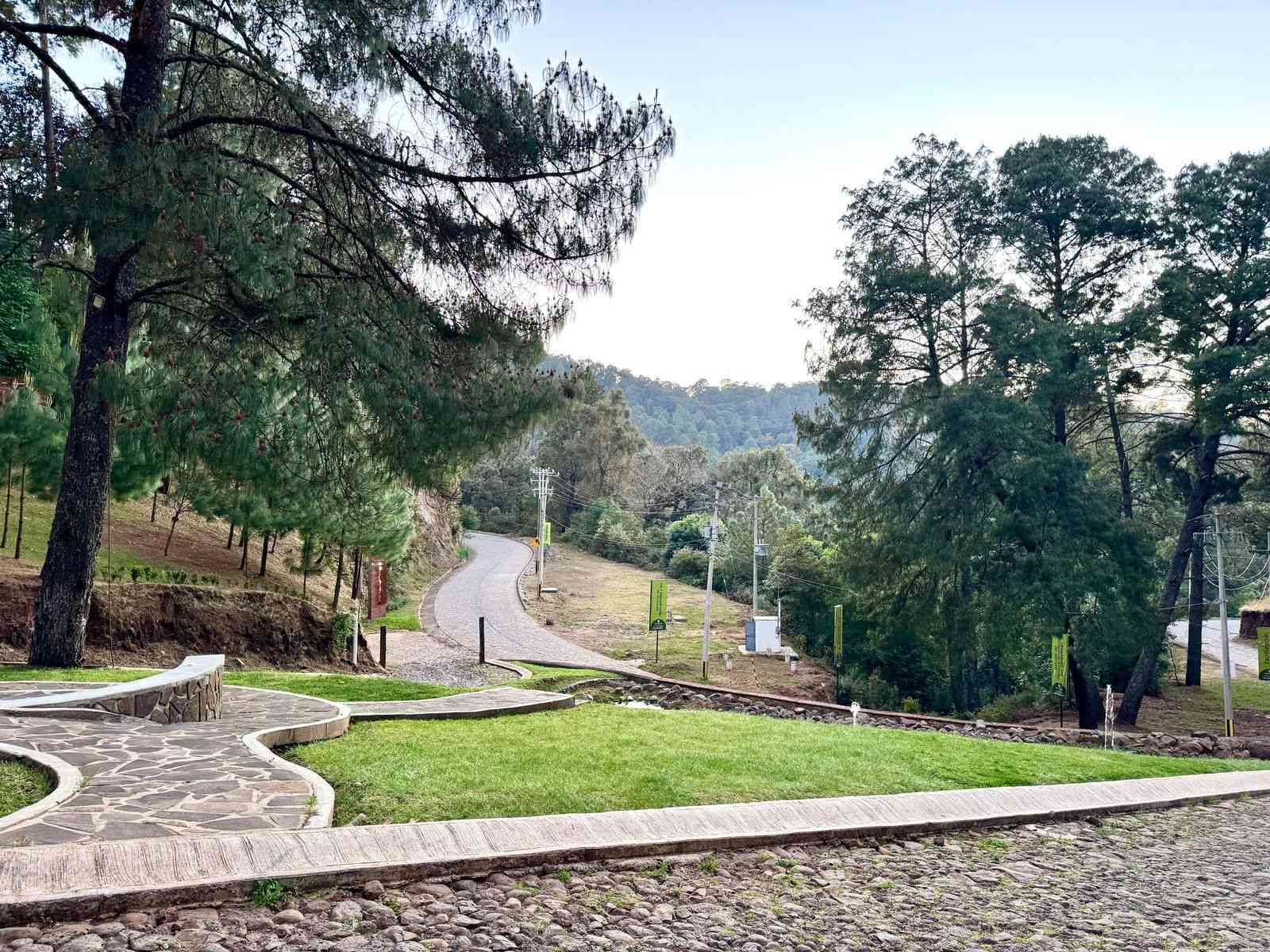 interior de terreno en venta en el tigre residencial mazamitla