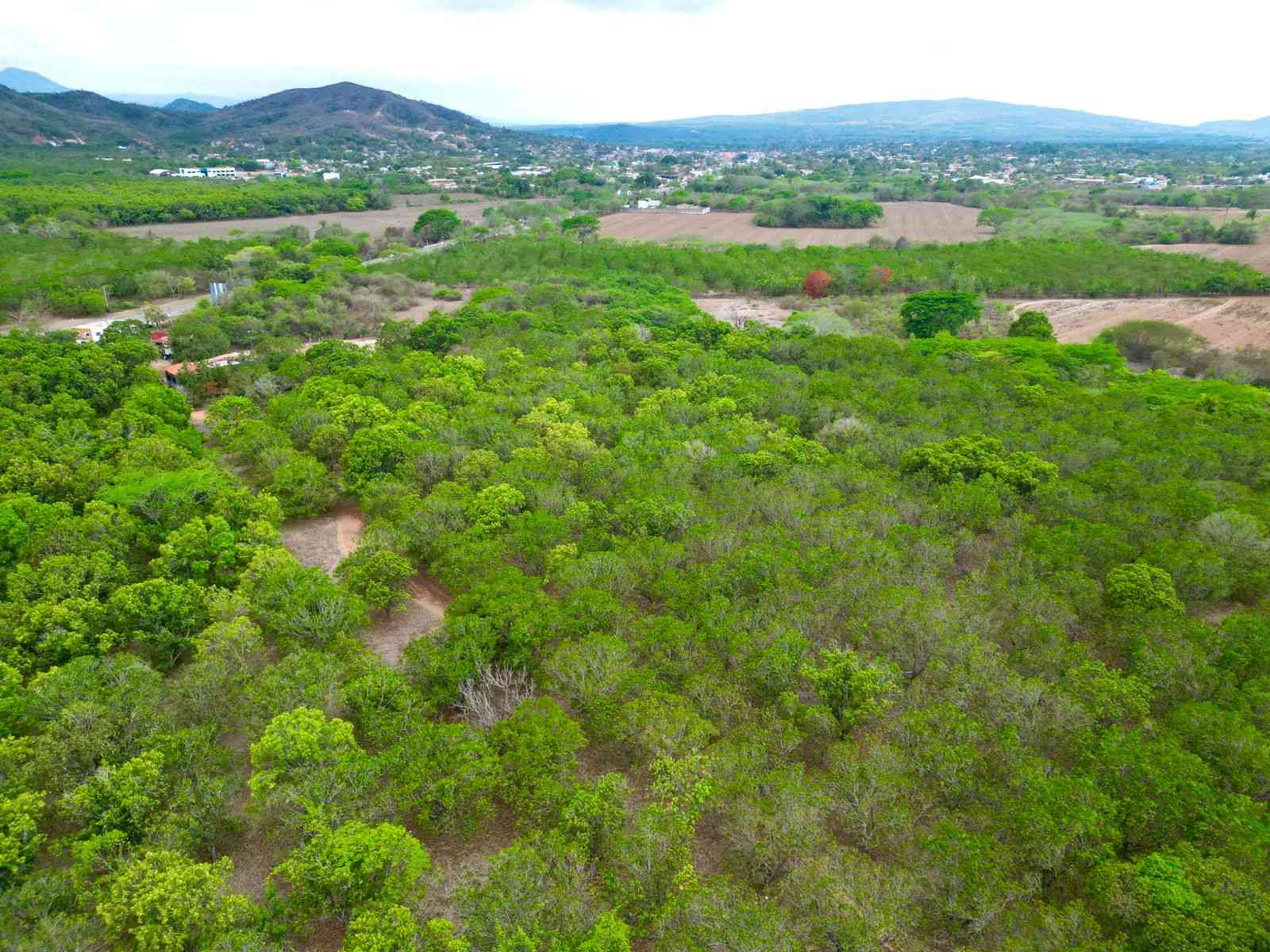 vista aérea de terreno en venta en las varas nayarit