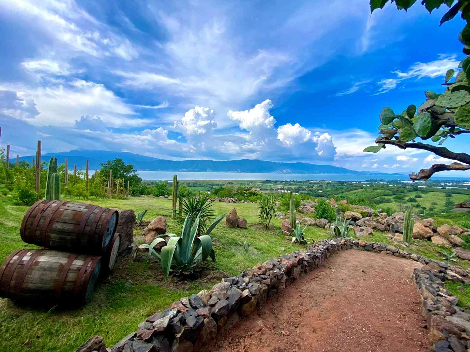 Ribera del Cardenal-Tlajomulco-25