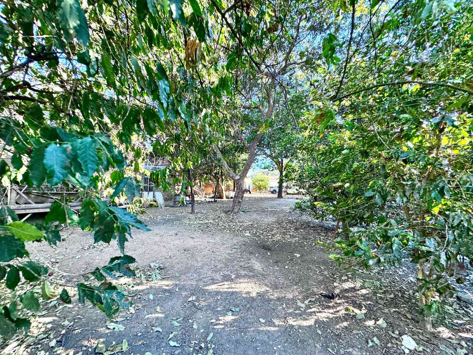 interior de terreno en venta en tequila centro